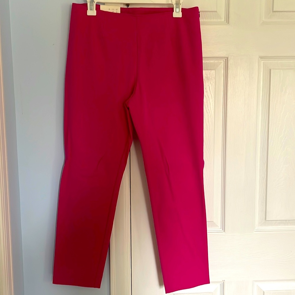 Vibrant pants for office
